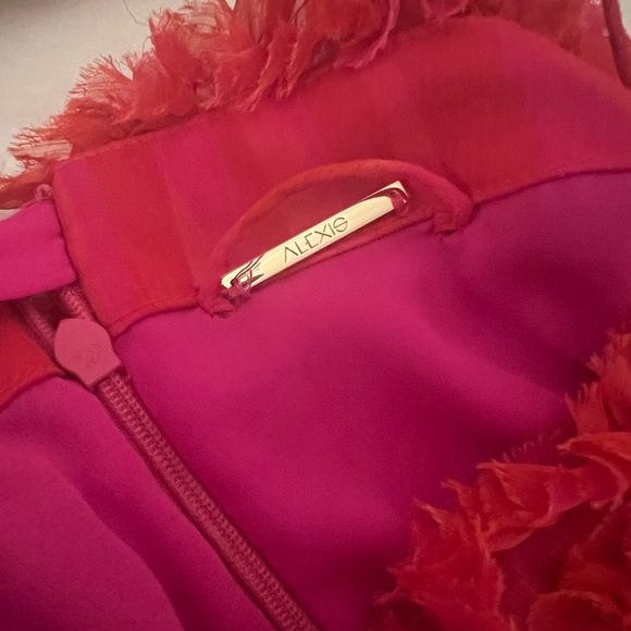 Alexis pink & red dress w ruffle details and  matching sash. - Picture 4 of 5